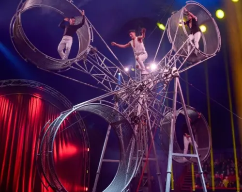 AQUA-Phuket Circus-1